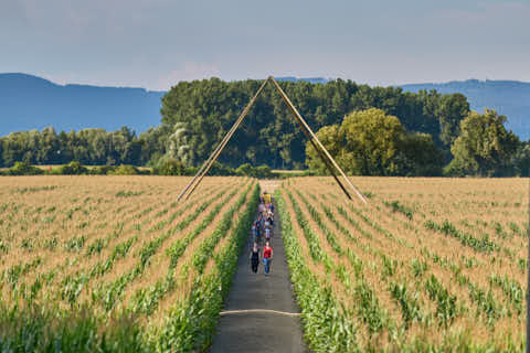 Gemeinde Atting Landkreis Straubing-Bogen Irrgarten Straubing (Dirschl Johann) Deutschland SR